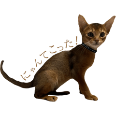 suzu_20210417154049