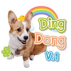 Dingdong V.1