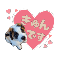 Amour's stamp