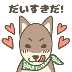 Chat with Shiba Inu