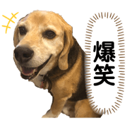 noechan_20210418085742