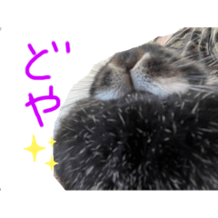 KING_20210417180625