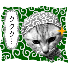 たくましいサバトラ猫ドビーのスタンプvol2 Line スタンプ Line Store