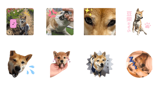 豆柴むぎぷースタンプ Lineクリエイターズスタンプ Stamplist