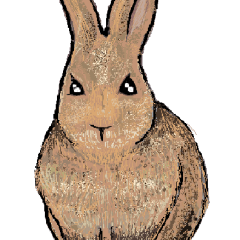 The brown rabbit (Big stickers)