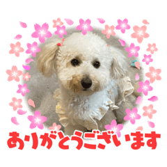 nozomi_20210417215644