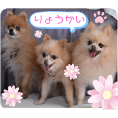 nanami_20210417234623