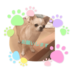 chi_20210417204034