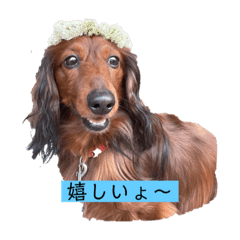 Yukari_20210418114713