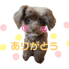 titi_20210418011019