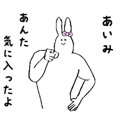 Rabbit's name is Aimi2