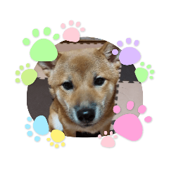 saori_20210418130901