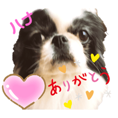 Ace_20210418120357