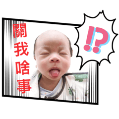 Q-Bi