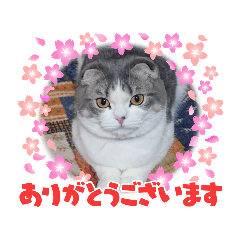 yukari_20210418090247