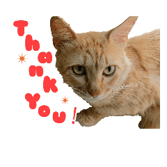 Cat Sticker (outer cat)