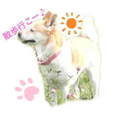 yuka_20210418131207