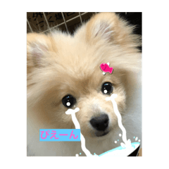 tori_20210418134751