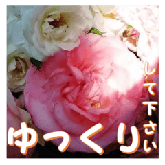 Greetings message of the rose_Assort2_J