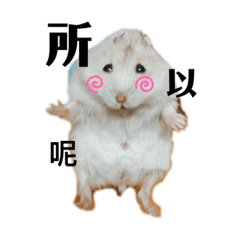 倉鼠說說