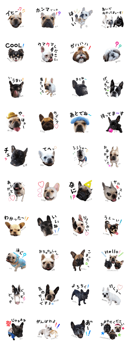 French bulldog friends sticker