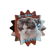 yukari_20210418163712