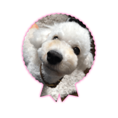 LUANA sticker