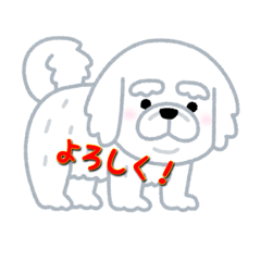 White dog puchi