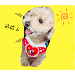 myjewelybox_20210418163616