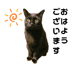 Matsu_20210418173925