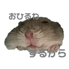 NATSUMI_20210418162809