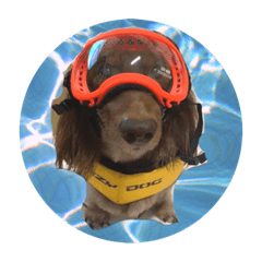 最愛的蕭Lucky❤️