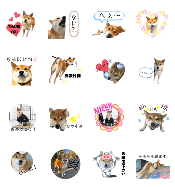 柴犬のきつねくん第4弾 Lineクリエイターズスタンプ Stamplist 柴犬のきつねくん第4弾 Lineクリエイターズスタンプ Stamplist