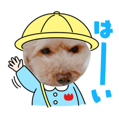 Chie_20210418202252