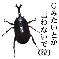 Photo of Japanese beetle