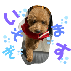 yuka_20210418212325