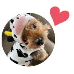 ASUKA_20210418231246