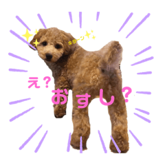 kero_20210419000228