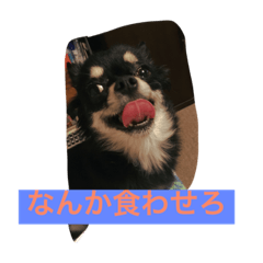 AkoRico