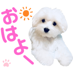 Sharon_20210419113410