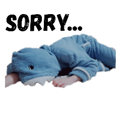 シャークちゃん