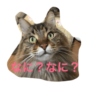 A~&M