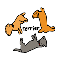Terriers
