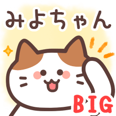 みよちゃん専用♪毎日使えるBIGスタンプ