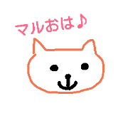 Maru @ cat