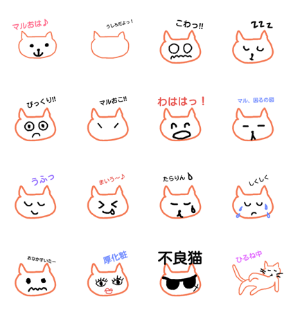 Maru @ cat