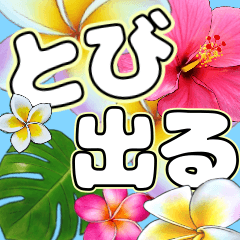Hawaiian pop up stickers