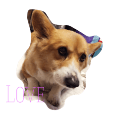 luckySTAMP