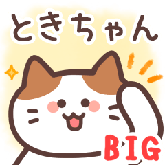 ときちゃん専用♪毎日使えるBIGスタンプ - LINE スタンプ | LINE STORE