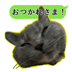 めんまのすたんぷ。２
